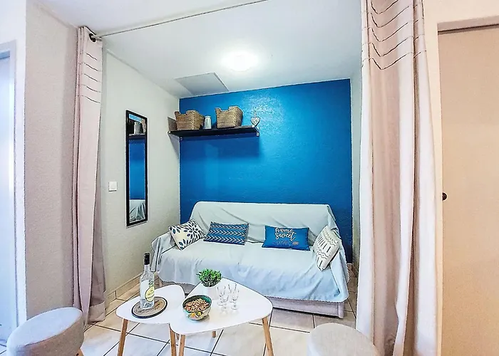 Front De Mer-21 By Interhome Апартаменты Ле Баркарес